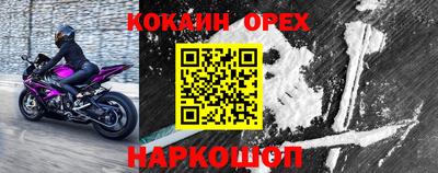 дурь Гатчина