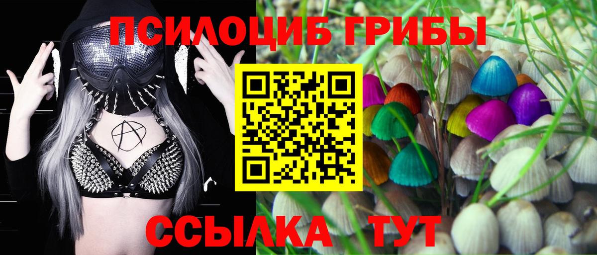 Галлюциногенные грибы ЛСД Нягань
